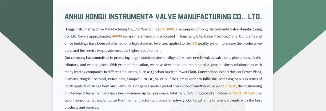 Gauge Needle Valve with Dual Ferrules and Male Thread NPT Rosemount Needle Valves